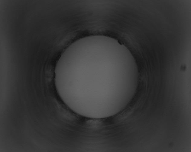 X0000091850133200710031028