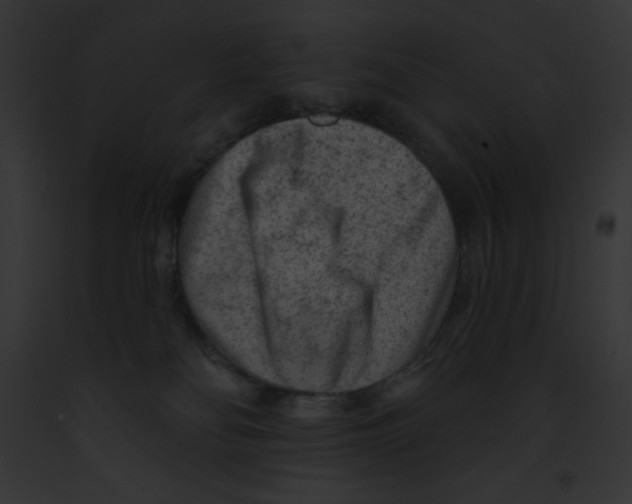 X0000091850134200710031028
