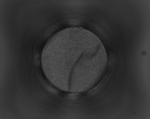 X0000091850136200710031028