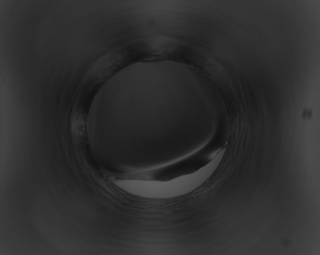 X0000091850137200710031028