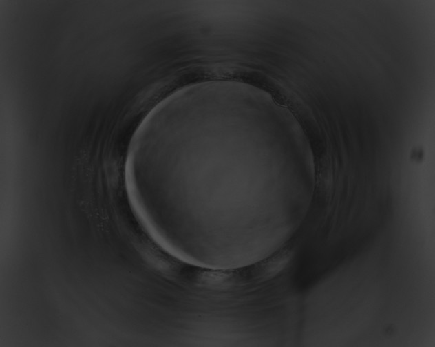 X0000091850139200710031027