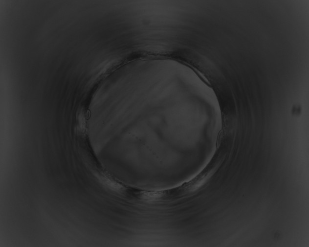 X0000091850143200710031027