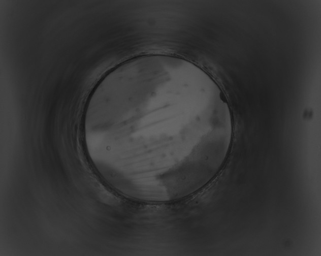 X0000091850145200710031027