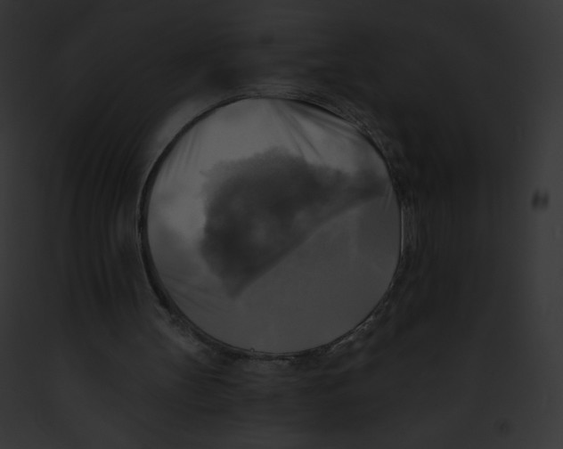 X0000091850147200710031027