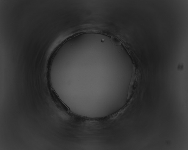 X0000091850150200710031027