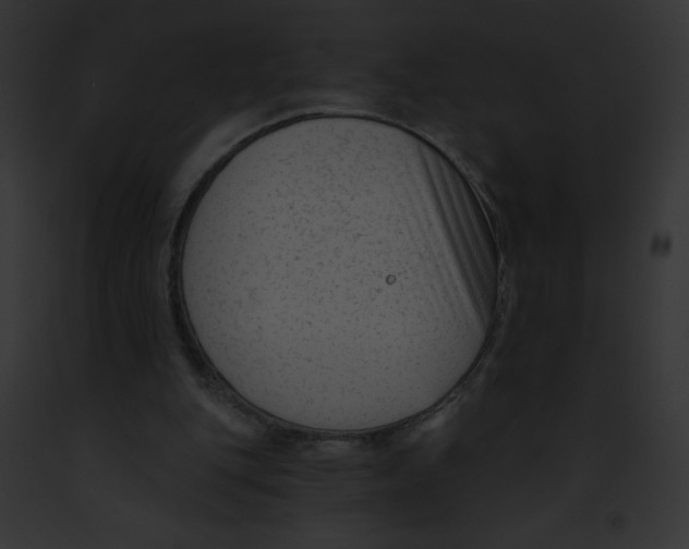 X0000091850151200710031027