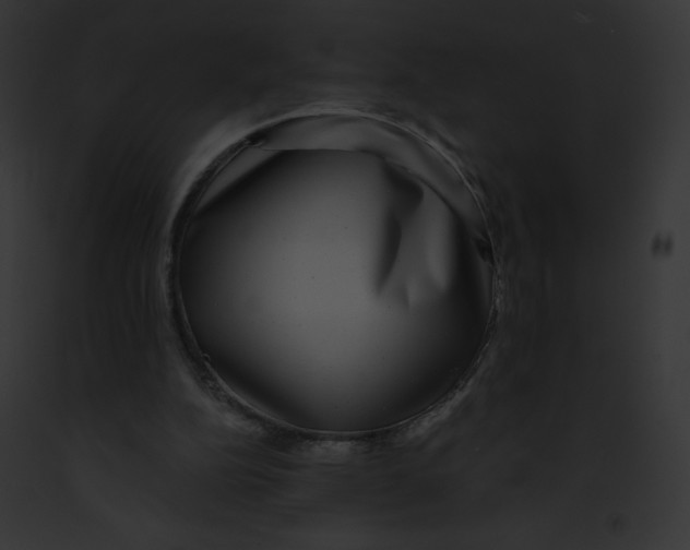 X0000091850152200710031027