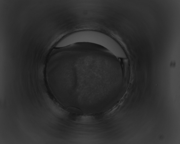 X0000091850154200710031027