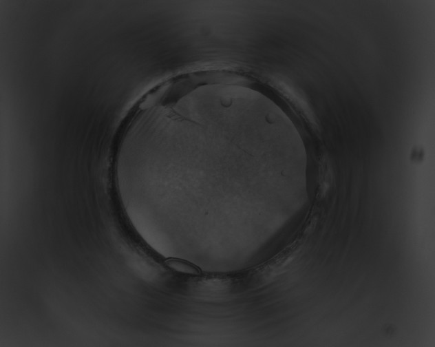 X0000091850156200710031027