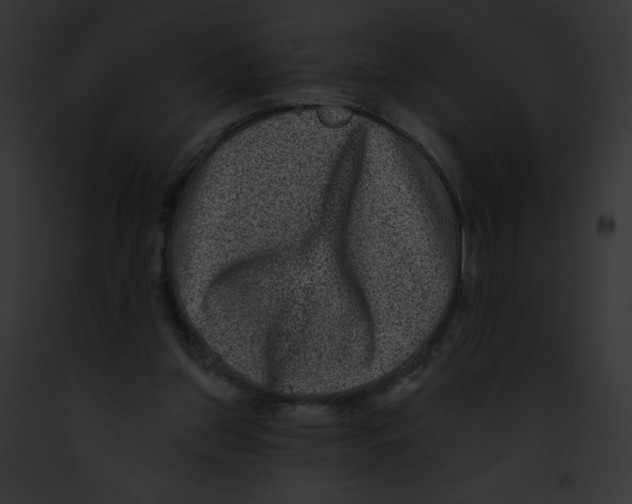 X0000091850157200710031027