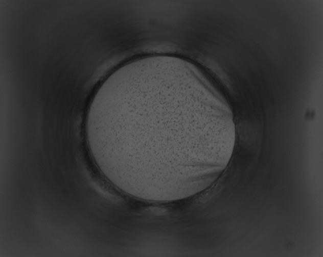 X0000091850159200710031027