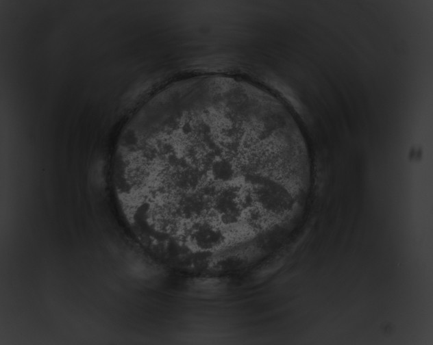 X0000091850161200710031027