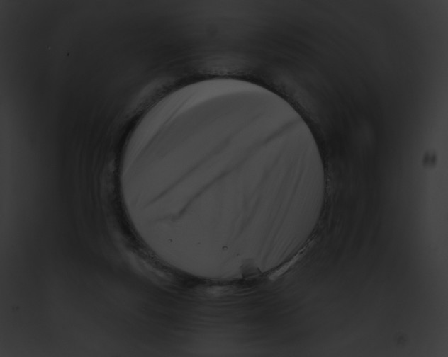 X0000091850163200710031027