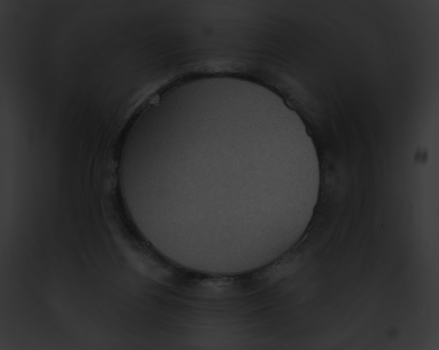 X0000091850164200710031027