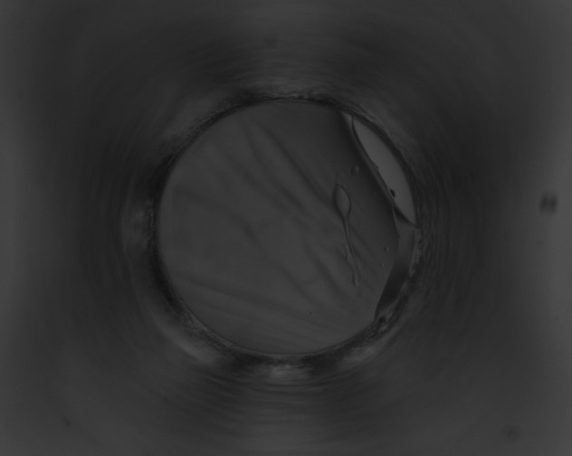 X0000091850165200710031027