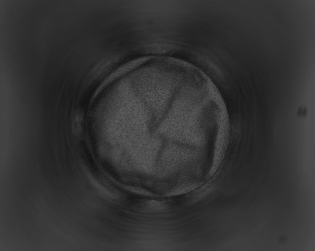 X0000091850166200710031027