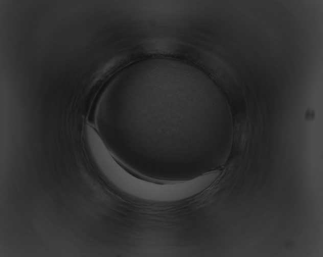 X0000091850168200710031027