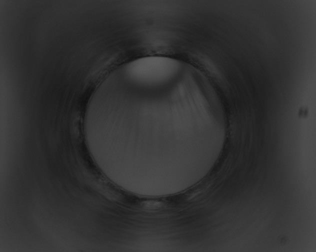 X0000091850169200710031027