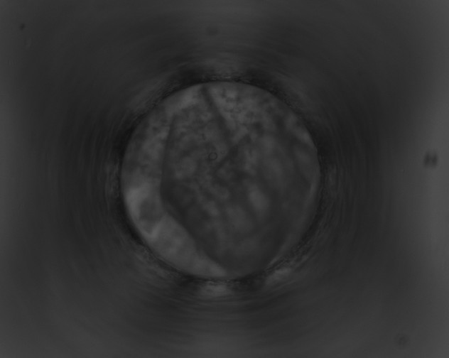 X0000091850177200710031027