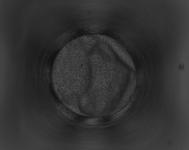 X0000091850178200710031027