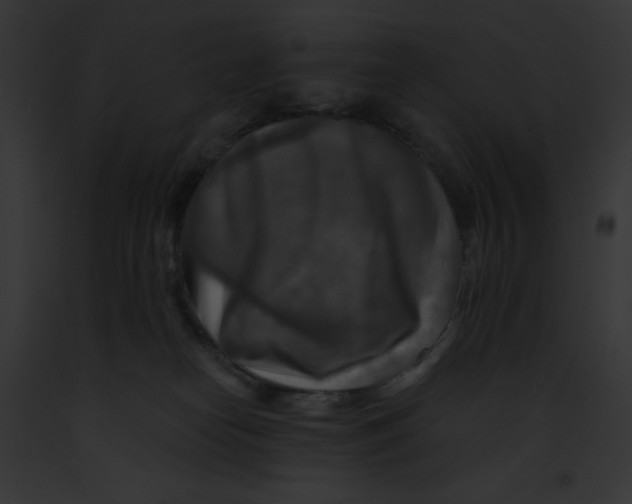 X0000091850182200710031027