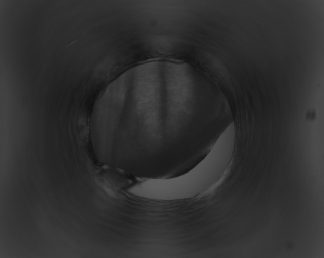 X0000091850186200710031027