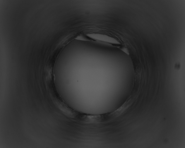 X0000091850188200710031027