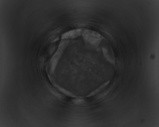 X0000091850189200710031027