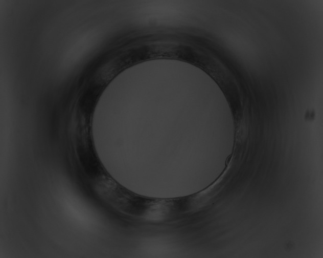 X0000091850191200710031027