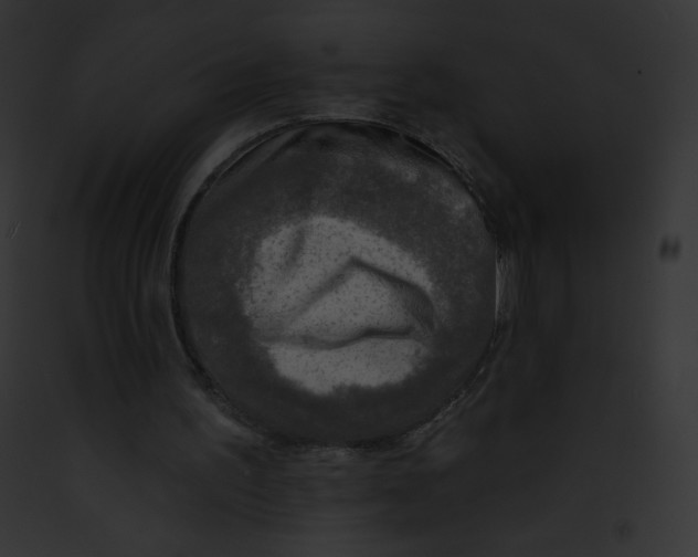 X0000091850195200710031027