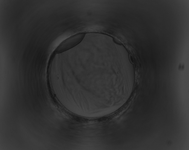 X0000091850196200710031027