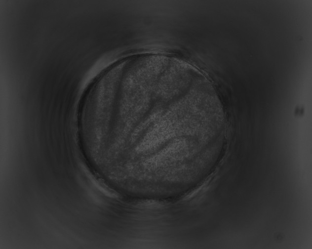 X0000091850198200710031027