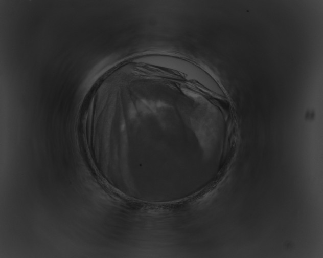 X0000091850199200710031026