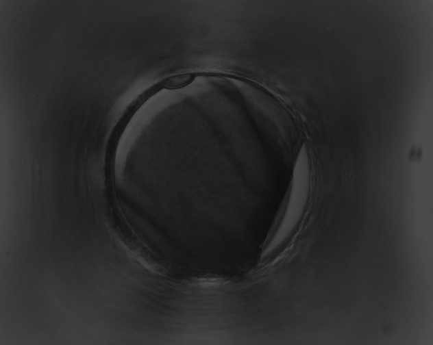 X0000091850200200710031026
