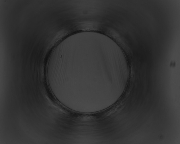 X0000091850202200710031026