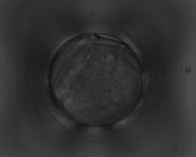 X0000091850203200710031026