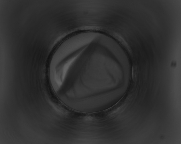 X0000091850204200710031026