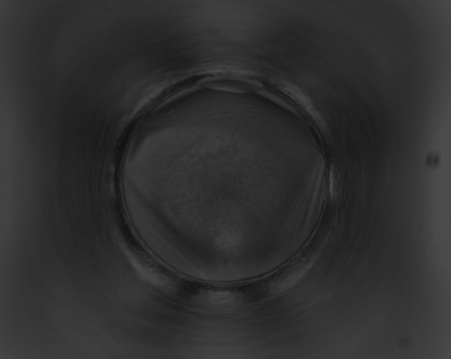 X0000091850205200710031026