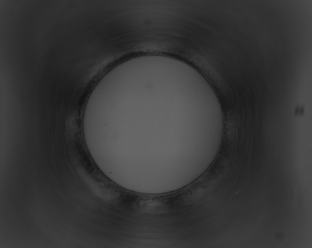 X0000091850208200710031026