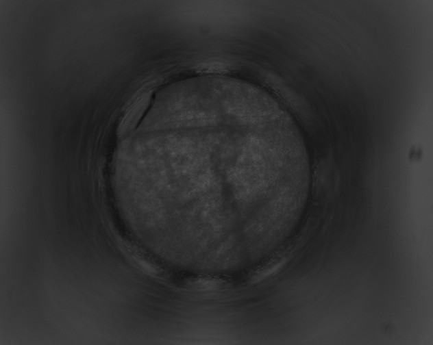 X0000091850209200710031026