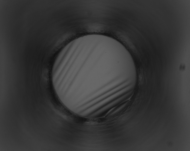 X0000091850211200710031026