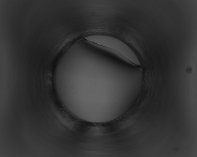 X0000091850212200710031026