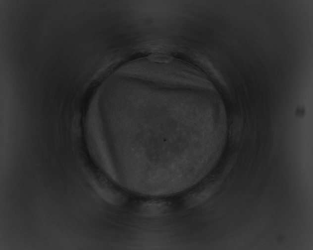 X0000091850213200710031026