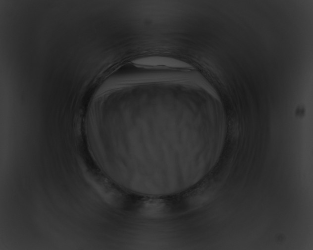 X0000091850214200710031026