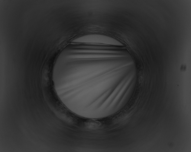 X0000091850215200710031026