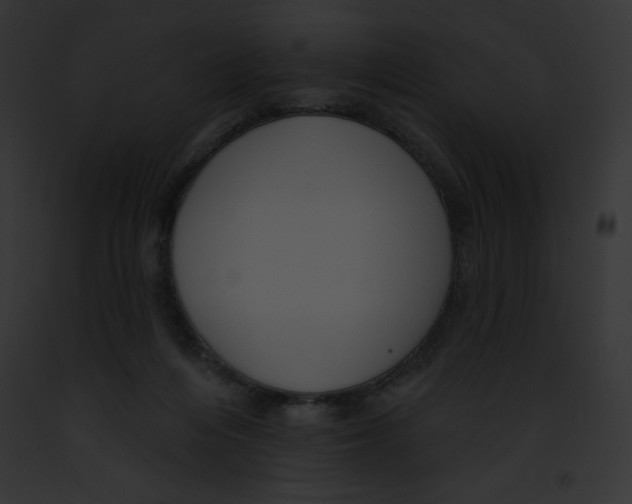 X0000091850216200710031026