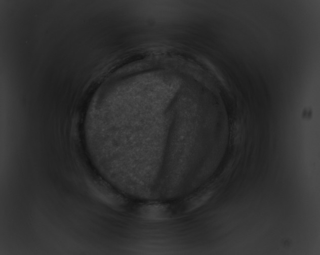 X0000091850217200710031026
