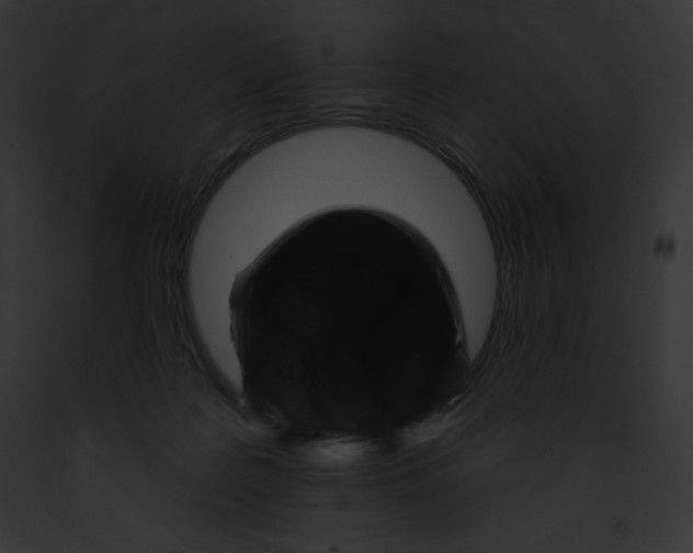 X0000091850219200710031026