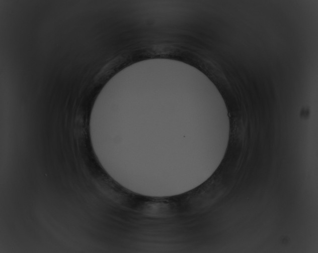 X0000091850220200710031026