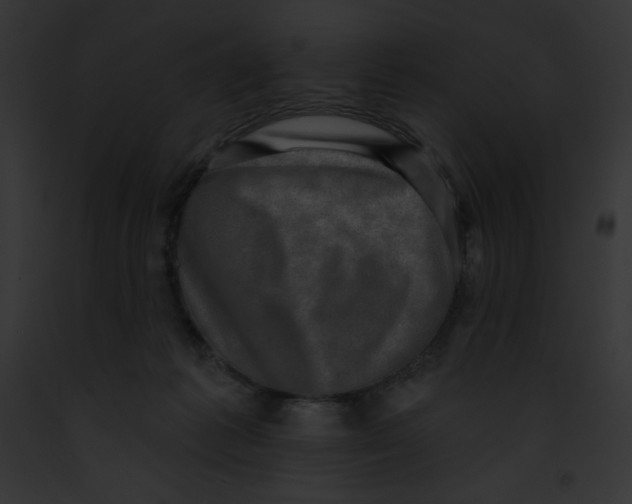 X0000091850221200710031026